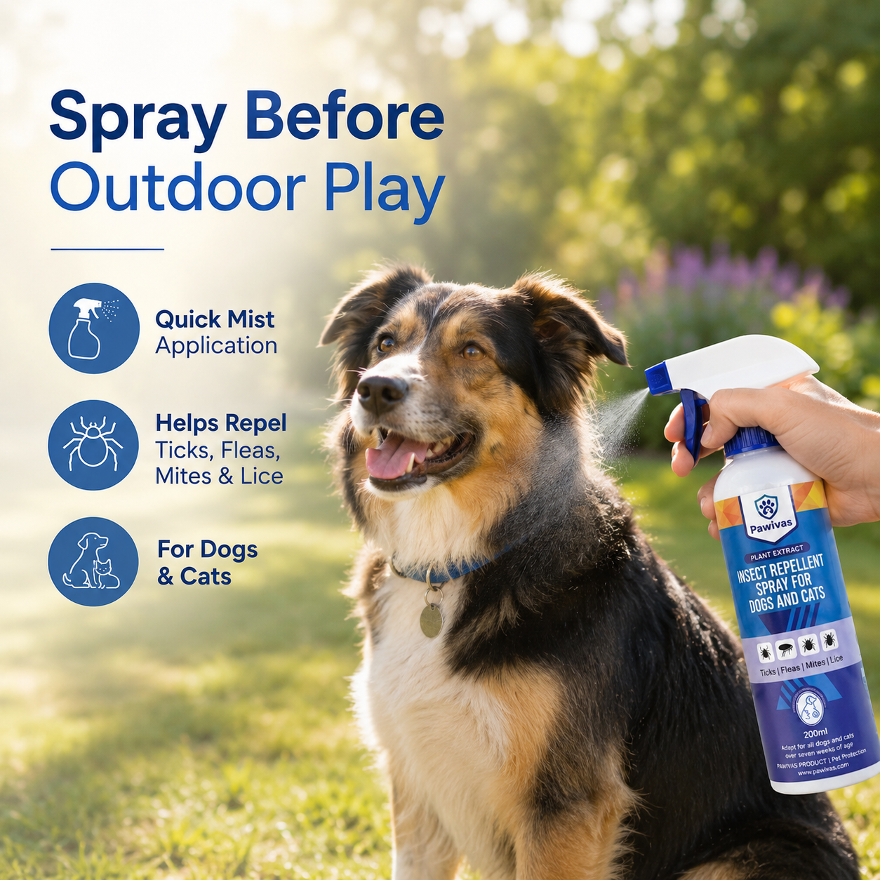 Pet Odor Spray & Shampoo