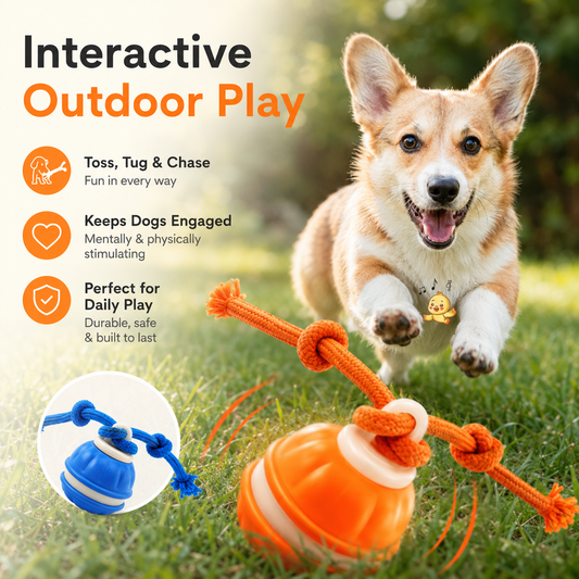 Pawivas™ Smart Rolling Tug Toy